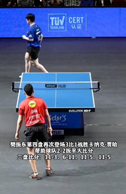 บอลล์เปิดเผยความลับ! เผยประโยชน์สำคัญของการที่ฟาน เจินตงเข้าร่วมบุนเดสลีกา – การพัฒนาทักษะเป็นเพียงส่วนหนึ่งเท่านั้น_การแข่งขัน_ปิงปอง_เยอรมนี